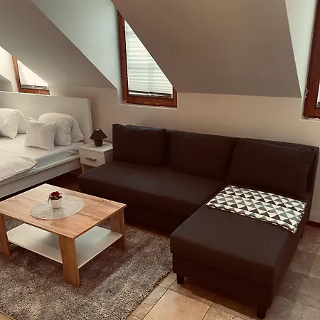 Lägenhetshotell Downtown Deluxe