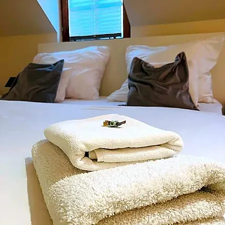 Downtown Deluxe Lägenhetshotell 3*